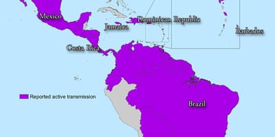 地図のジャマイカzika